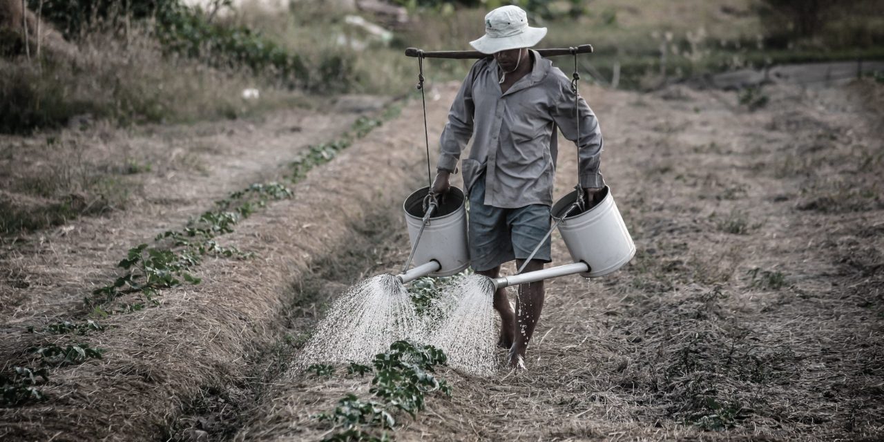 Brasil: o país que mais consome agrotóxicos no mundo? ONU desmente