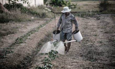 Brasil: o país que mais consome agrotóxicos no mundo? ONU desmente