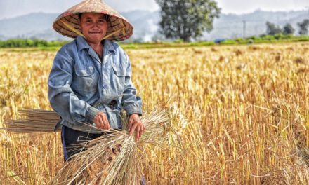 Inscrições abertas para curso semipresencial em agronegócio