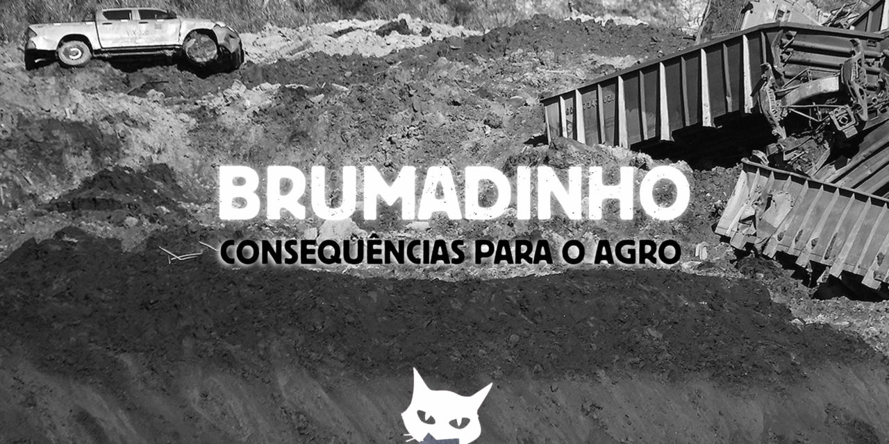 TOP 3: Consequências de Brumadinho para o agro