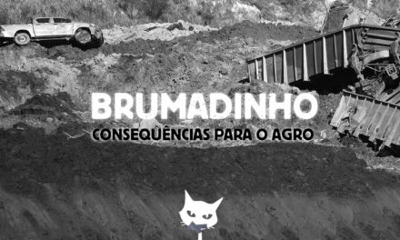 TOP 3: Consequências de Brumadinho para o agro