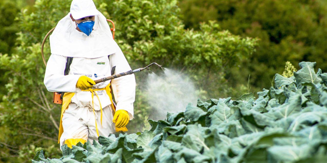 Agrotóxico mais usado no Brasil não causa câncer, conclui Anvisa