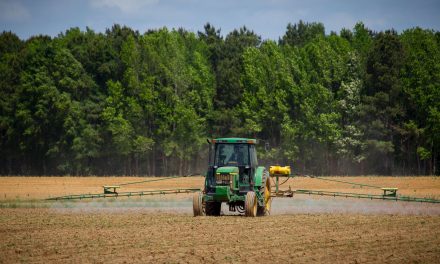 Ministério da Agricultura registra 63 novos defensivos agrícolas