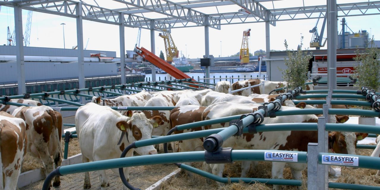 A 1ª fazenda flutuante do mundo, em operação na Holanda