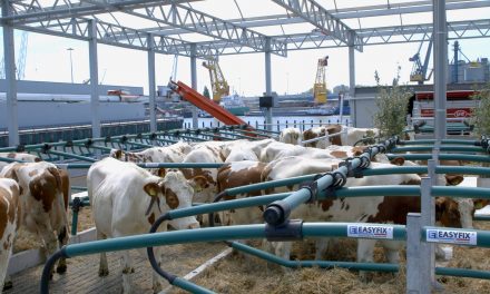 A 1ª fazenda flutuante do mundo, em operação na Holanda