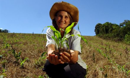 Educação é base para fortalecer protagonismo da mulher rural