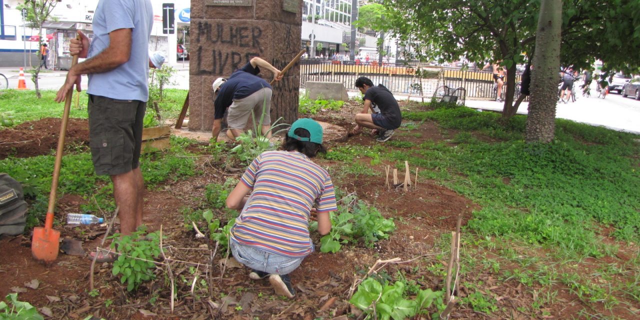 Agricultura urbana cada vez mais necessária