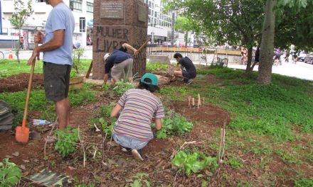 Agricultura urbana cada vez mais necessária