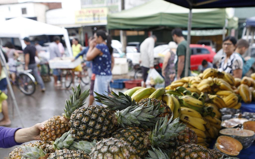 Feira digital pode ser a solução durante quarentena