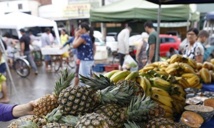 Feira digital pode ser a solução durante quarentena