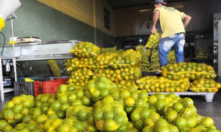 As medidas do governo para manter o abastecimento