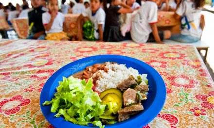 Merenda escolar ainda vai para os alunos