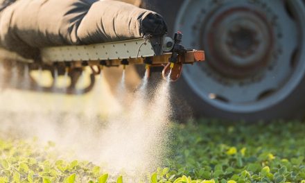 Data para a proibição do paraquat se aproxima