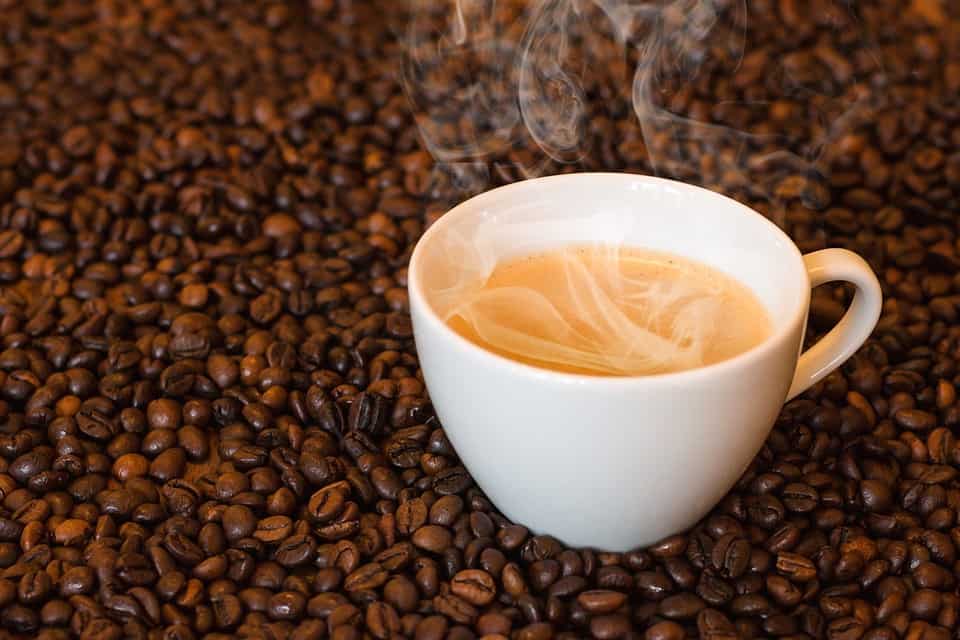 Exportação de café supera as expectativas