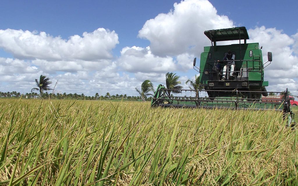 O agronegócio segue em alta
