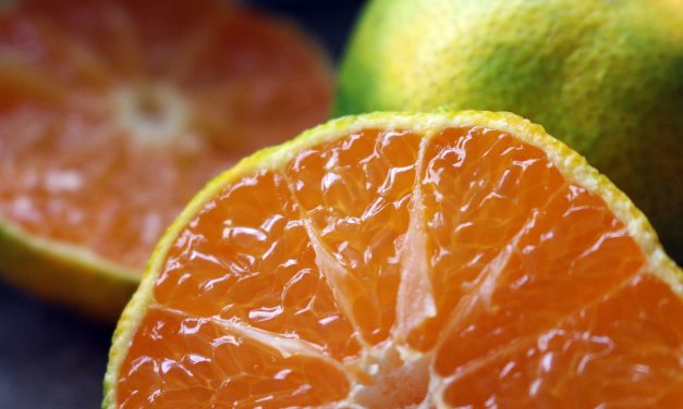 Brasil dobra exportação de frutas ricas em vitamina C