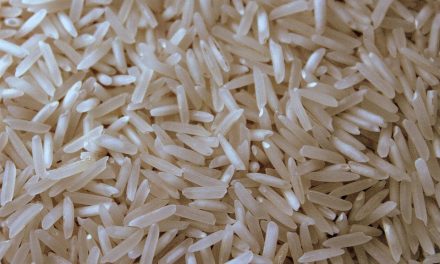 Arroz também deve ter recorde de exportação