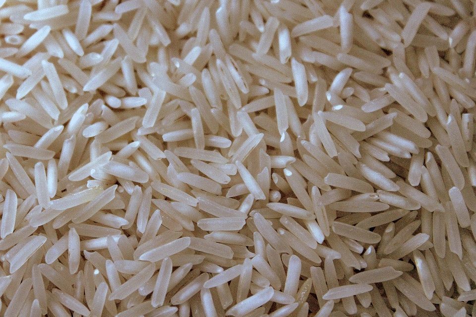 Arroz também deve ter recorde de exportação