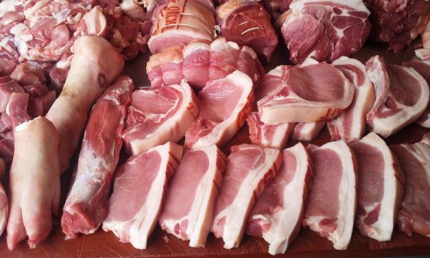 Brasil e China suspendem importação de carne suína da Alemanha