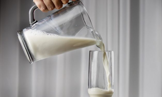 Preço do leite em SC atinge um dos maiores valores da história