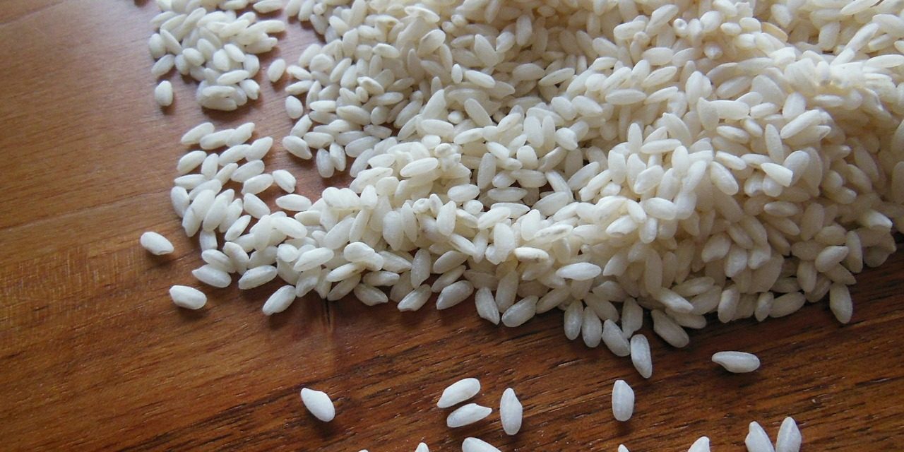 Tereza Cristina alerta para queda no preço do arroz