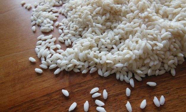 Tereza Cristina alerta para queda no preço do arroz