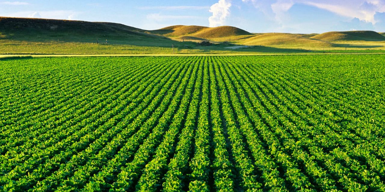 Índice de Confiança do Agro bate recorde