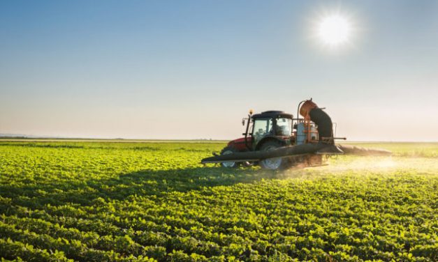 Governo de SP tem novos planos para o Agro